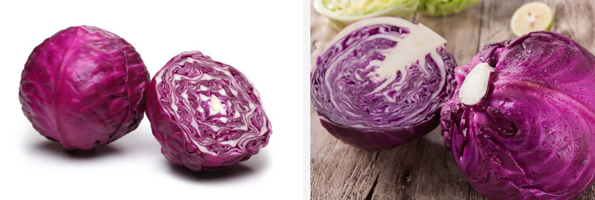 Purple cabbage.jpg